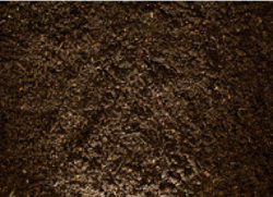 fertilizers