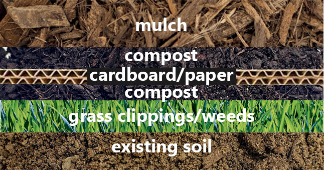 Sheet Mulching