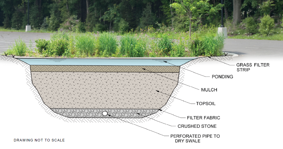 Bioretention Cells: What Do They Do?