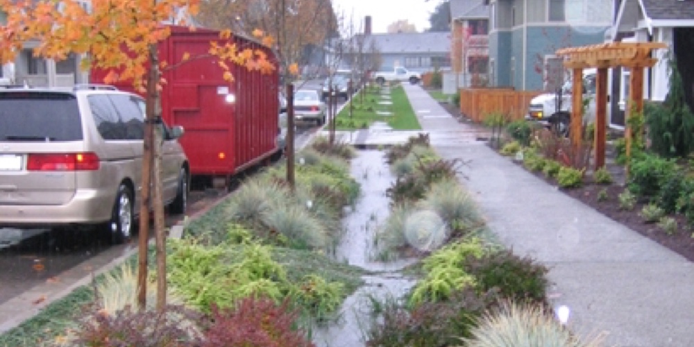 bioswale materials and design San Carlos, CA