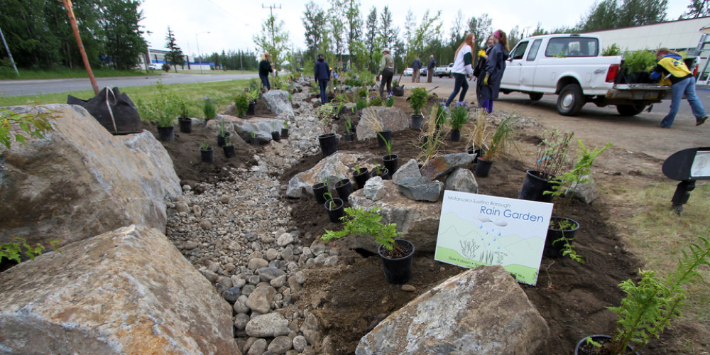 bioswale-bay-area
