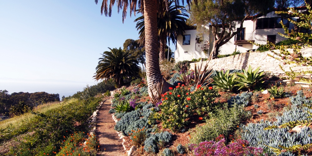 organic vibrant landscaping with best materials and drought tolerant ground cover, store near Palo Alto