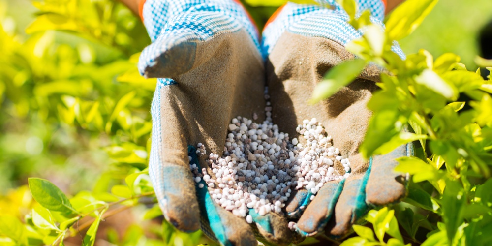 The Advantages of Organic Fertilizers for Your Garden Plants