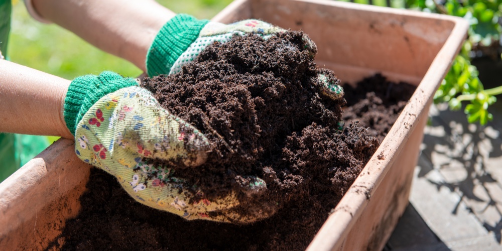 Winter Soil for Vegetables