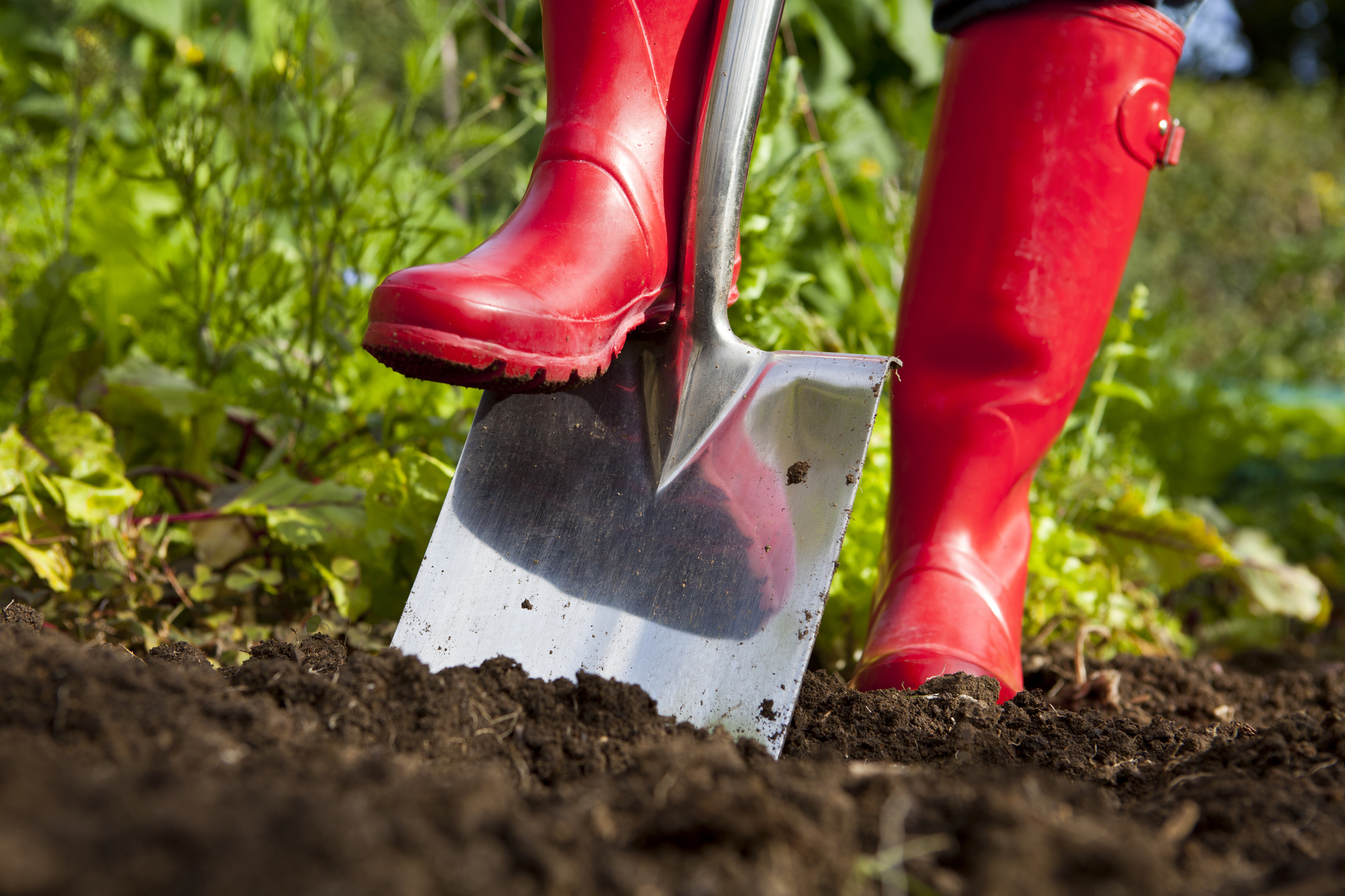 The Best Soils for Vegetables, Fruit, Flowers, and Other Landscaping Needs