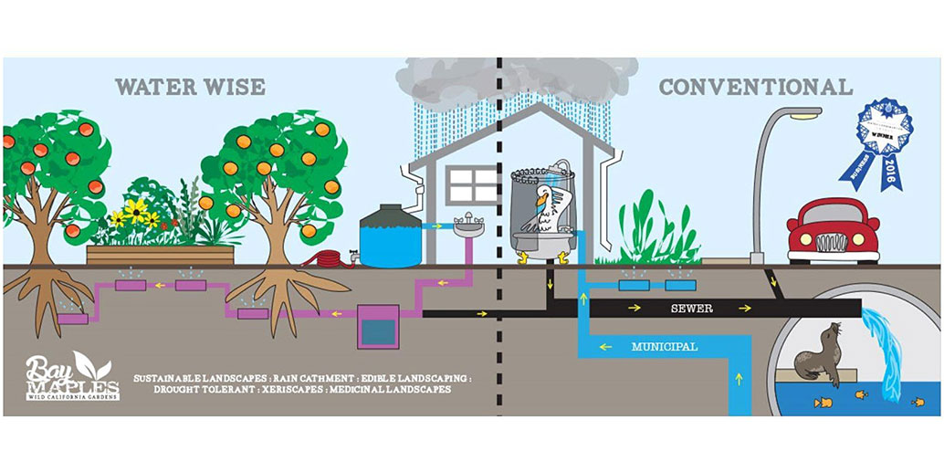 Greywater: Laundry to Landscape