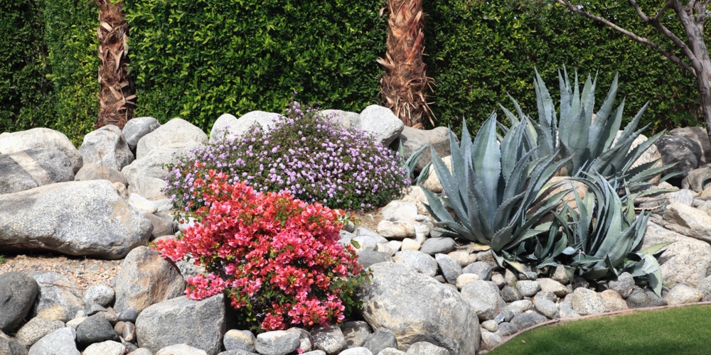 A California Landscaping To-Do List