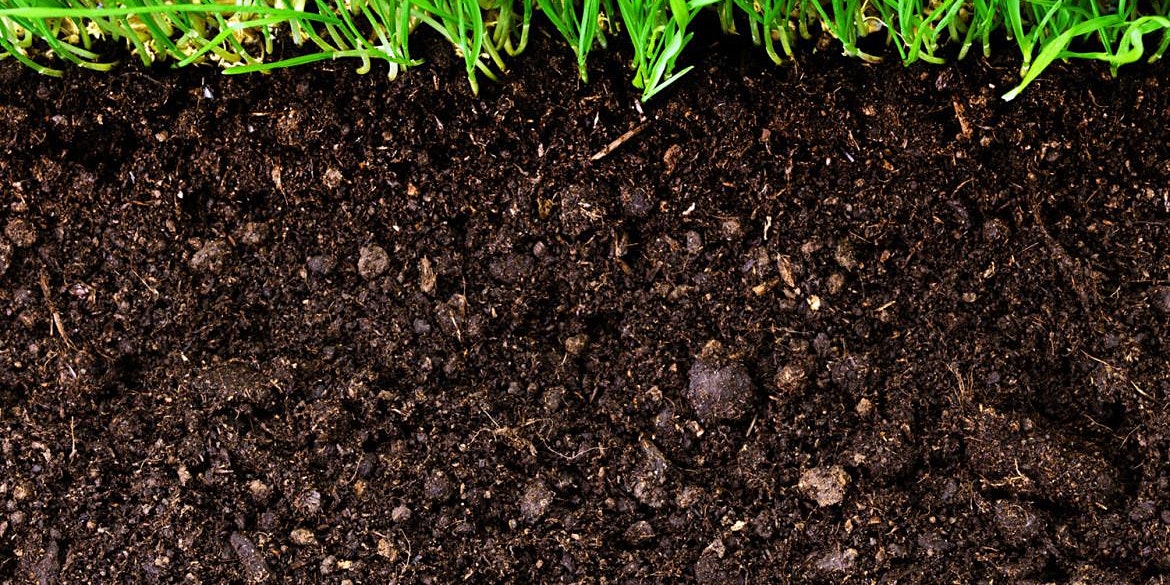 Getting To Know Your Soil Part 2