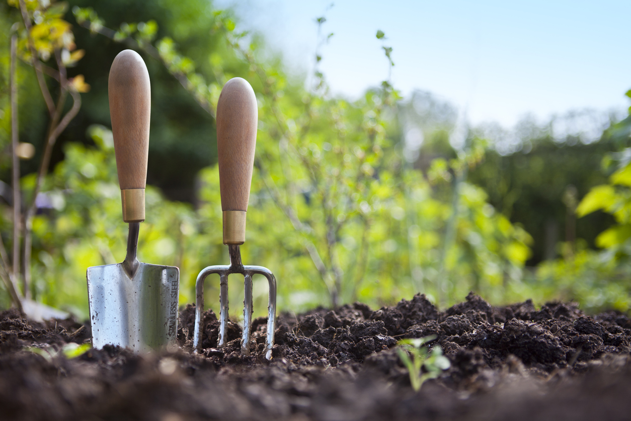 Preparing Your Garden for Winter Planting