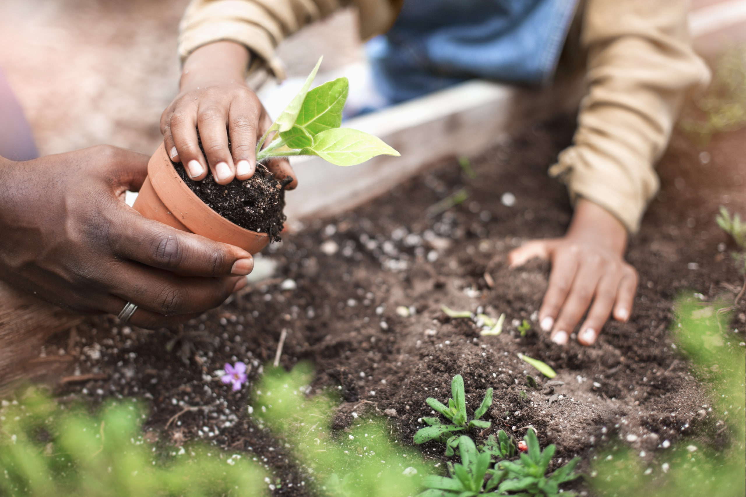 Checklist to Freshen up Your Yard This Spring