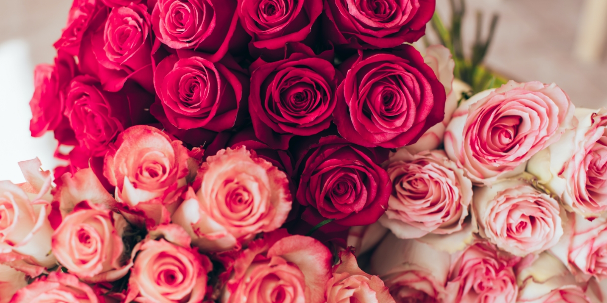 Peninsula Rose Society – Rose Show