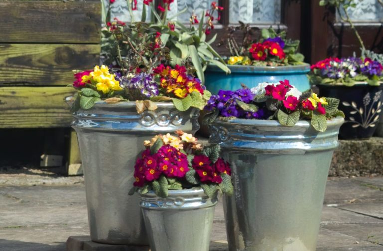 plantsinbuckets Lyngso Garden Materials