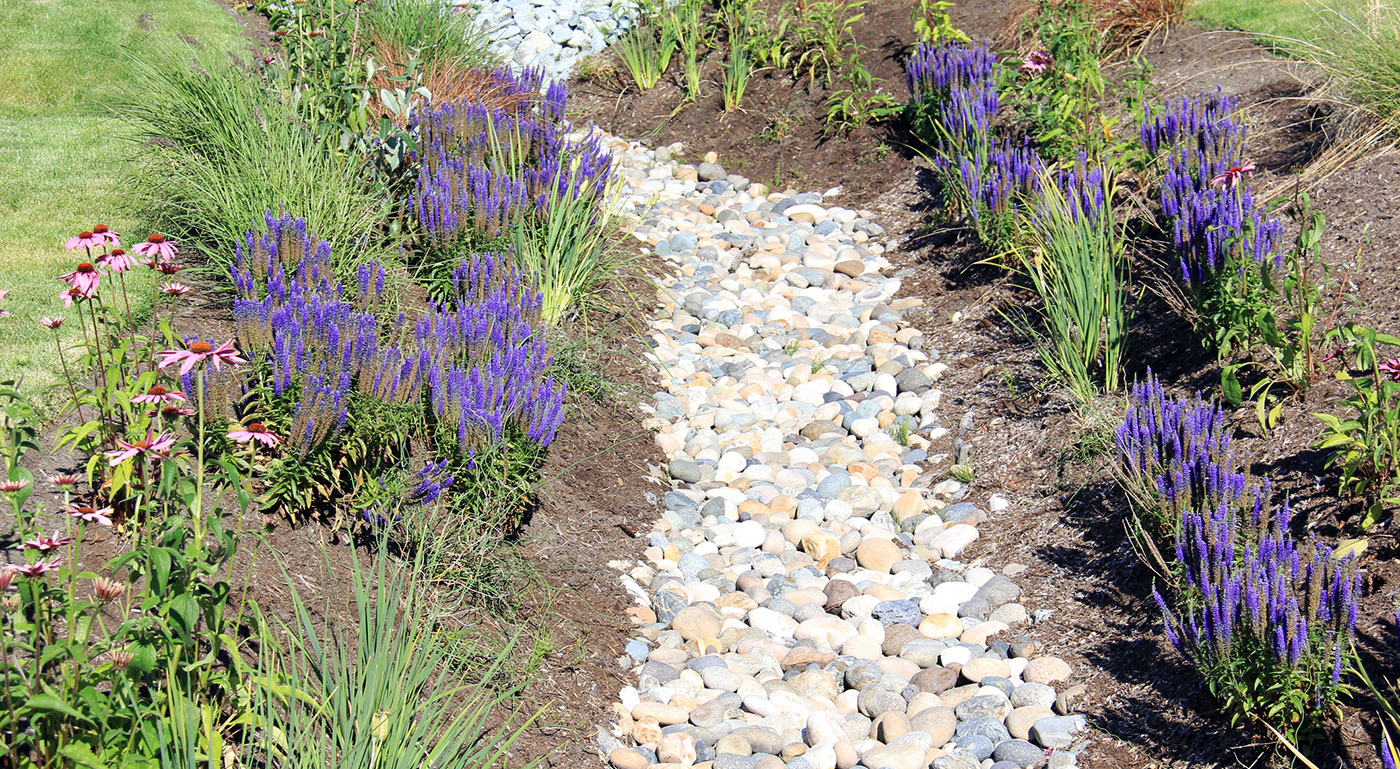 How to Build a French Drain DIY