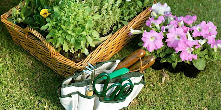 Organic Gardening Tips for Spring