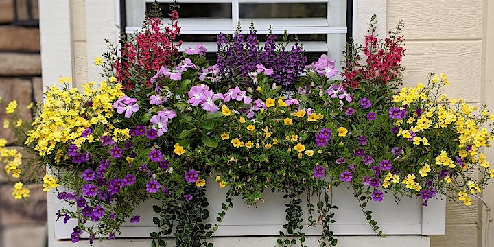 Container Gardening Success