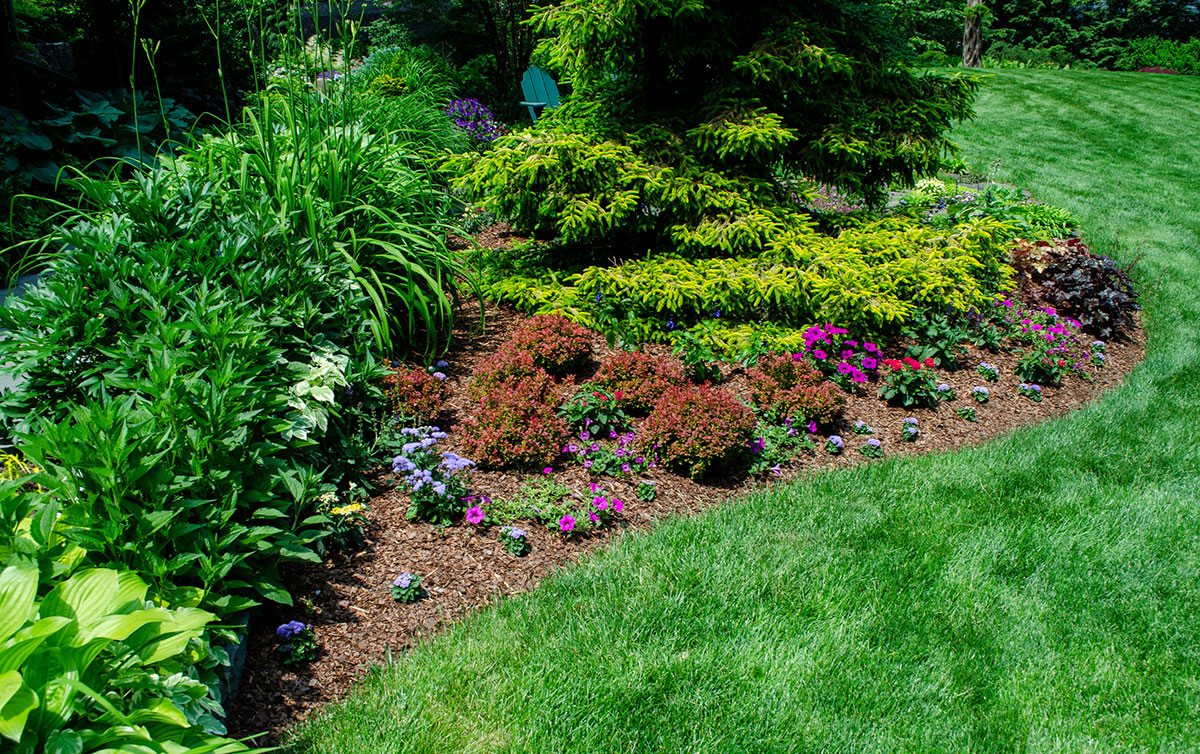 3 Water Conserving Landscaping Tips for a Greener Garden