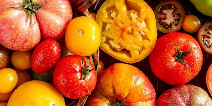 Growing Terrific Tomatoes: From Seed to Salsa!