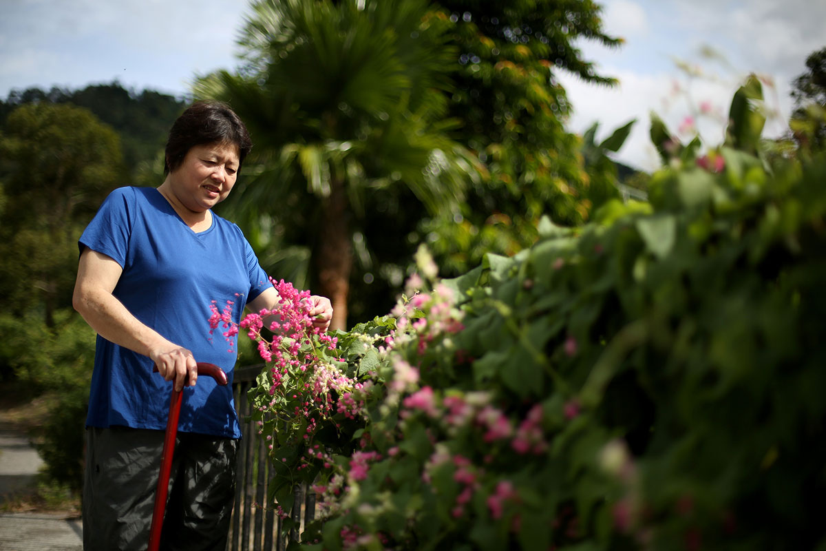 Accessible Gardening: Tips for an Inclusive Outdoor Space