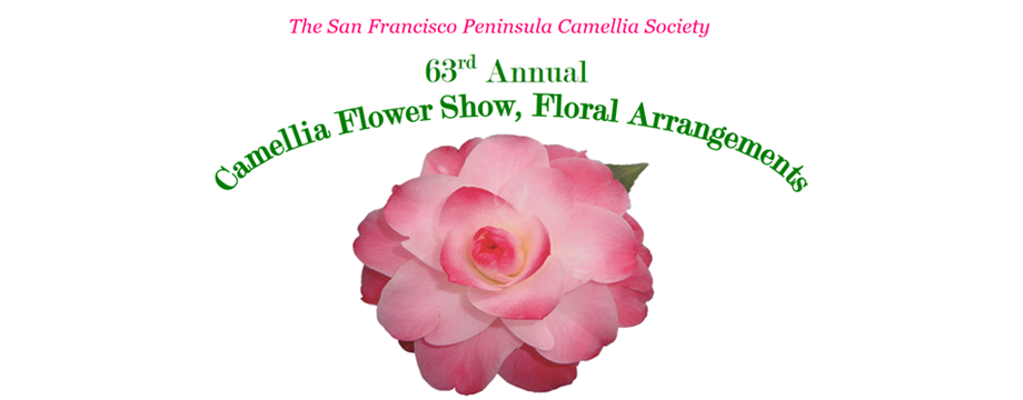 63rd Annual Camellia Flower Show, Floral – 2/24/24