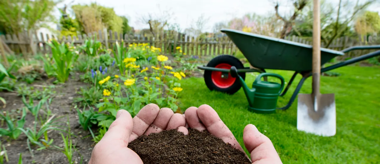 Grass Fertilizer for Spring: What Type to Choose & When to Apply