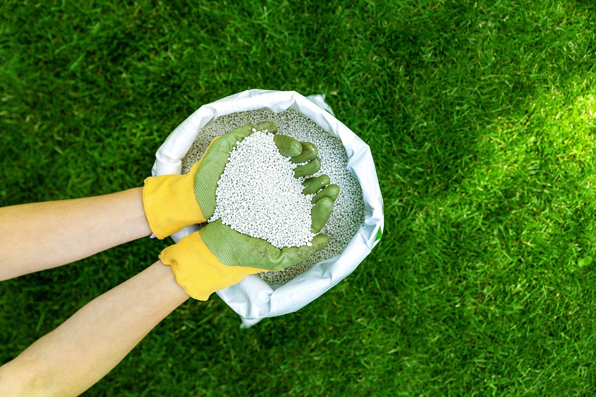 Grass Fertilizer for Spring: What Type to Choose & When to Apply