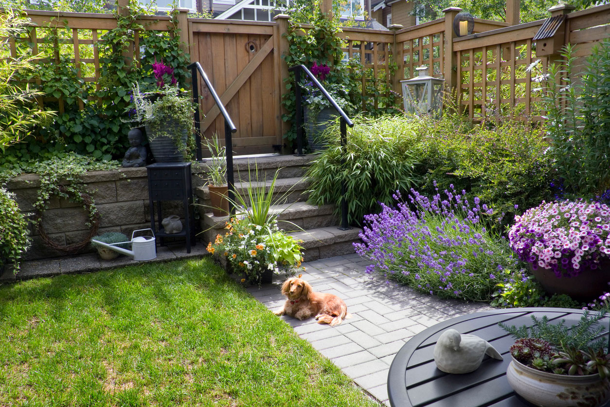 How to Create a Pet-Friendly Garden for Your Bay Area Home