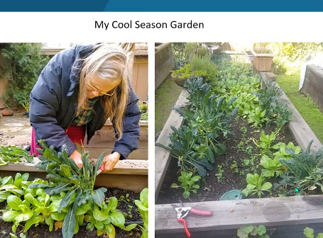 Growing Cool Season, Asian Vegetables