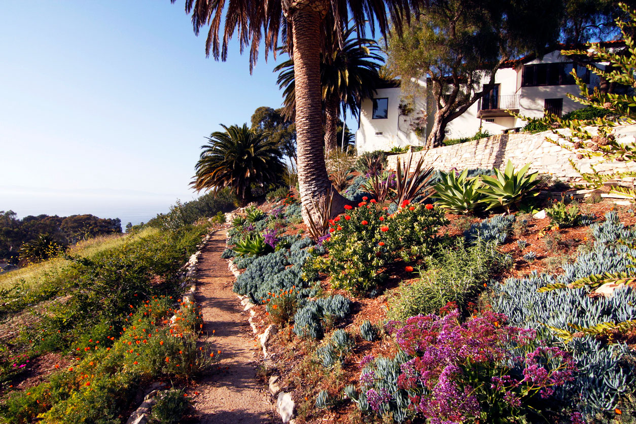 California Native Shade Plants For Beautiful, Low-water Gardens