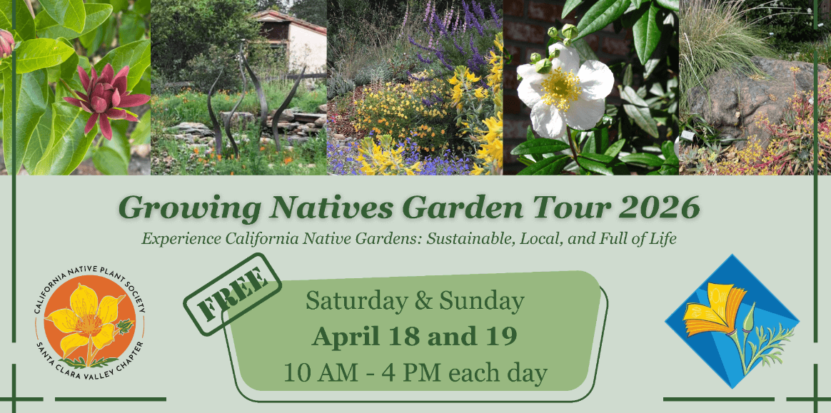 Growing Natives Garden Tour 2026